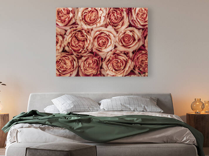 Radiant Roses by Assaf Frank