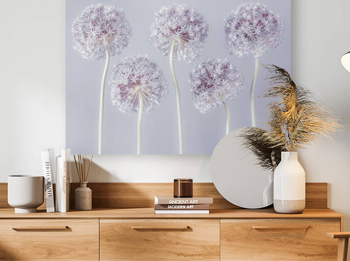 Allium Extravaganza by Assaf Frank