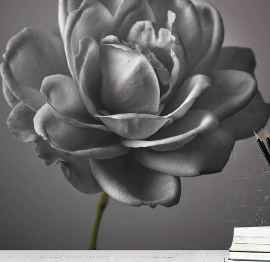 Monochrome Elegance Reproduction