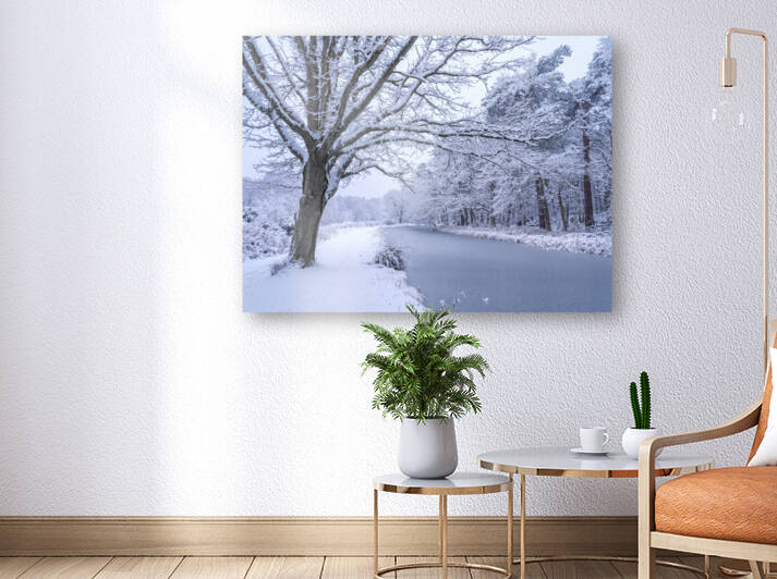 Snowy Forest Canal by Assaf Frank
