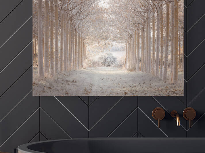 Winter Forest by Assaf Frank