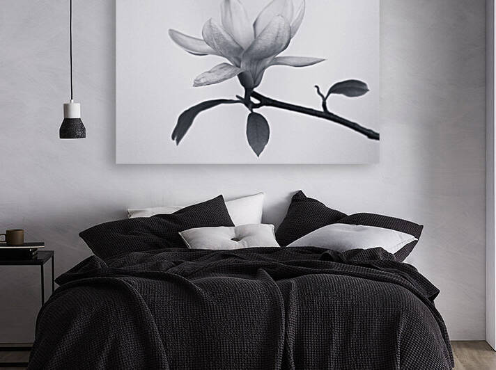 Monochrome Magnolia Reproduction