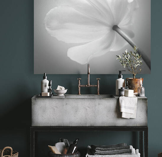 White Tulip Reproduction