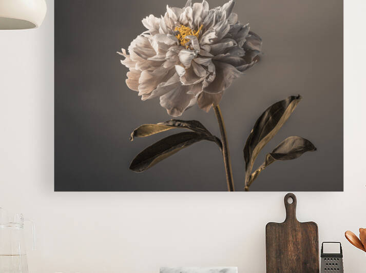 Peony Reproduction