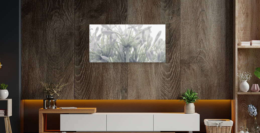 African Lily Reproduction