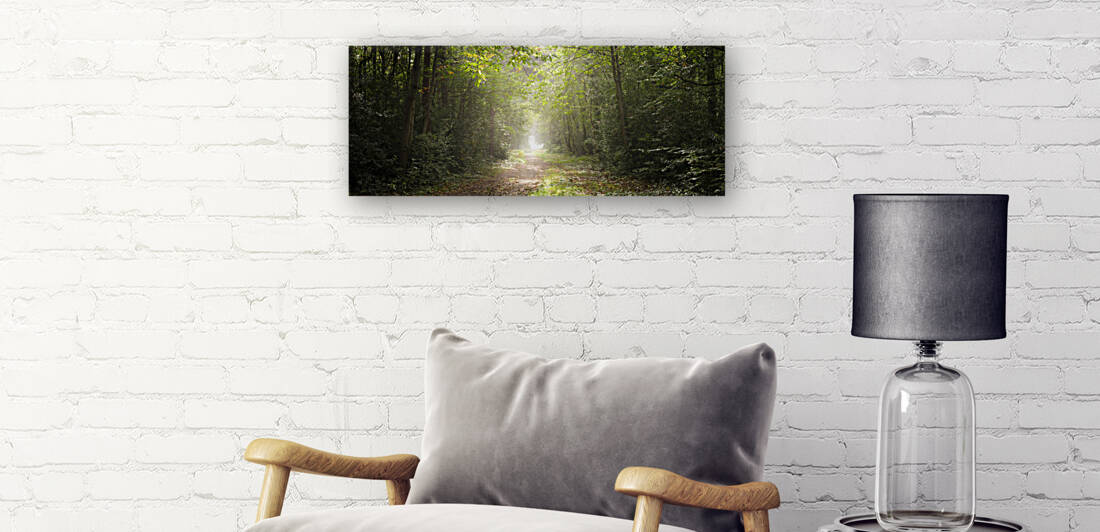 Pathway through misty forest by Assaf Frank