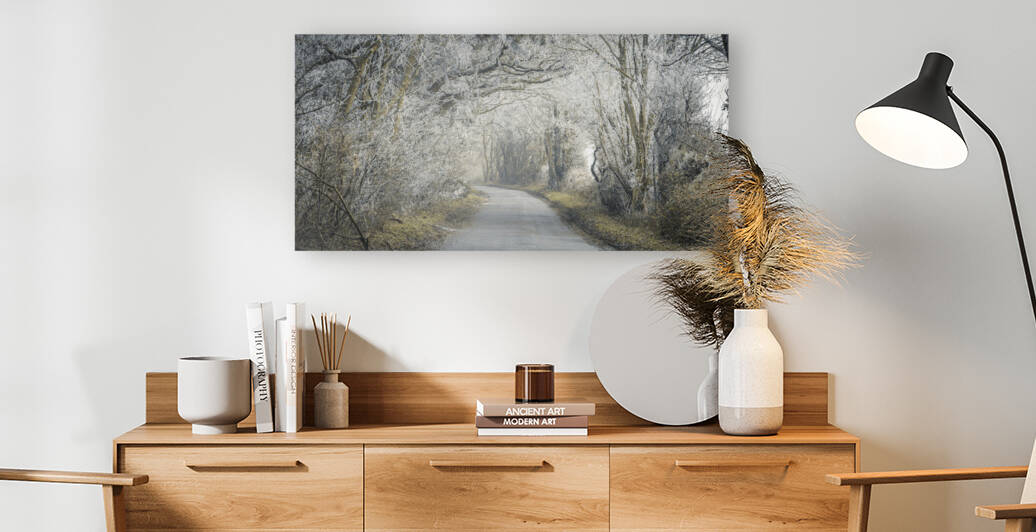 Frosted road through forest by Assaf Frank