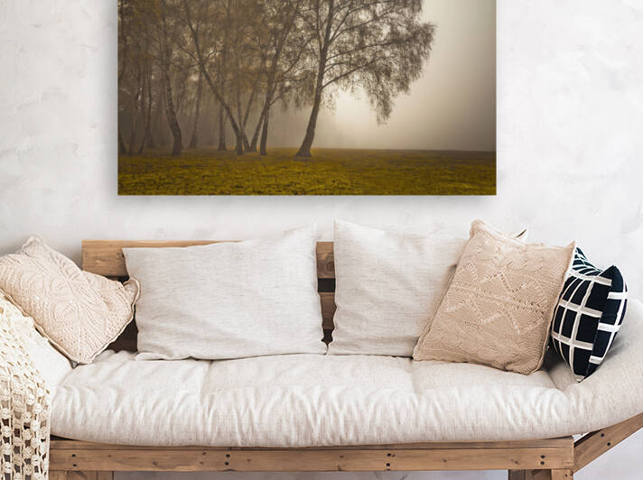 Mystical Charms by Assaf Frank