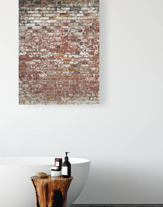 Rustic brick wall by Assaf Frank
