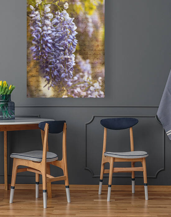 Wisteria Blooms Reproduction