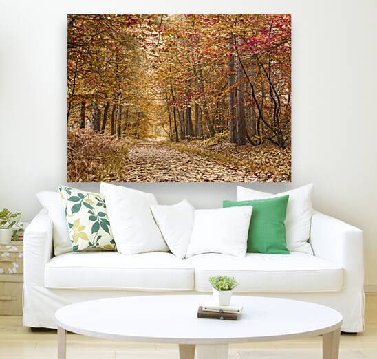 Path of Rustling Leaves by Assaf Frank