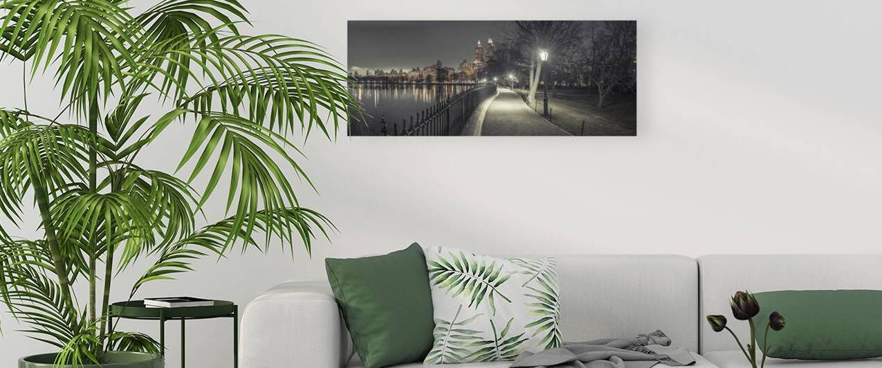 Central Park at Night by Assaf Frank