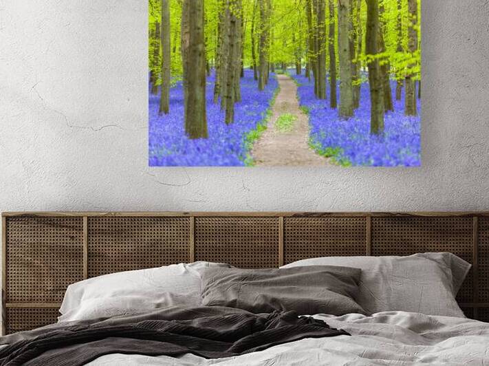 Bluebell Path by Assaf Frank
