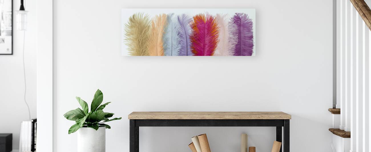 Feathers of Pastel by Assaf Frank