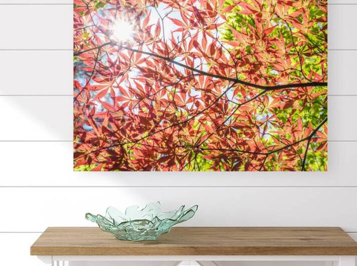 Autumn leaves Reproduction