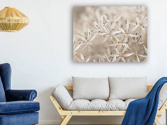 Allium Allure by Assaf Frank