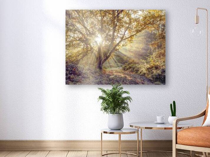 Immersed in Nature by Assaf Frank
