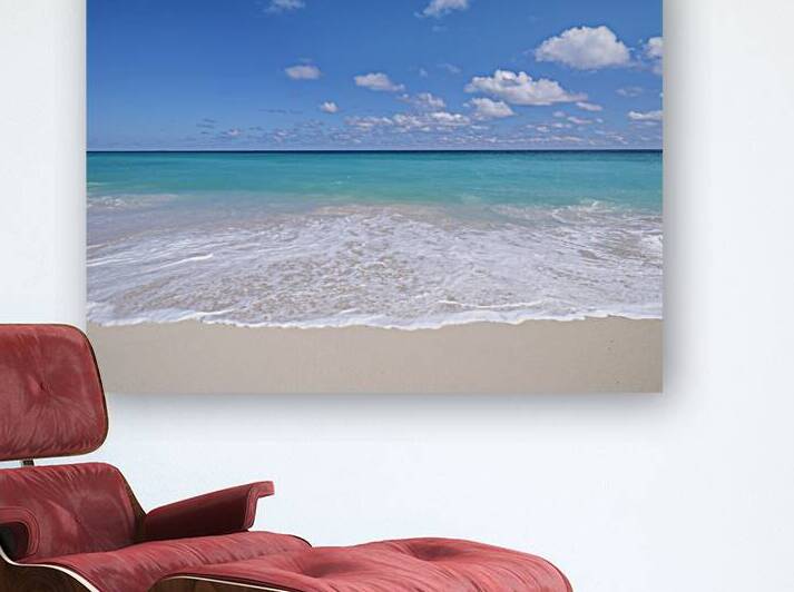 White sandy beach by Assaf Frank