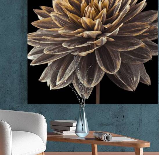Dahlia flower Reproduction