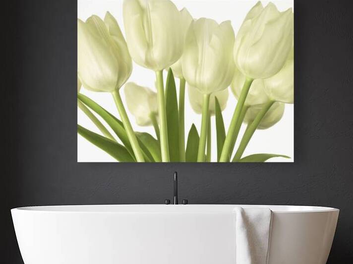 Bunch of Tulips by Assaf Frank