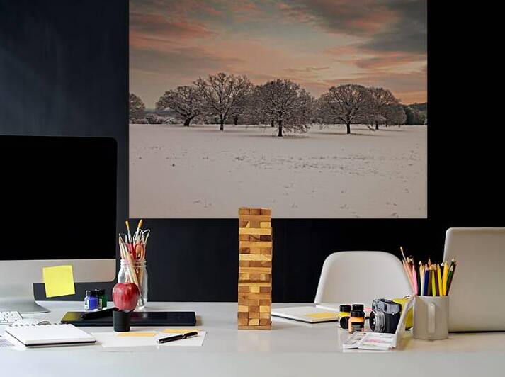 Winter Wonderland Reproduction
