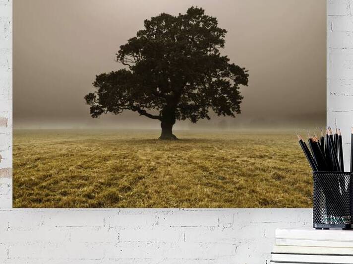 Single Tree Reproduction