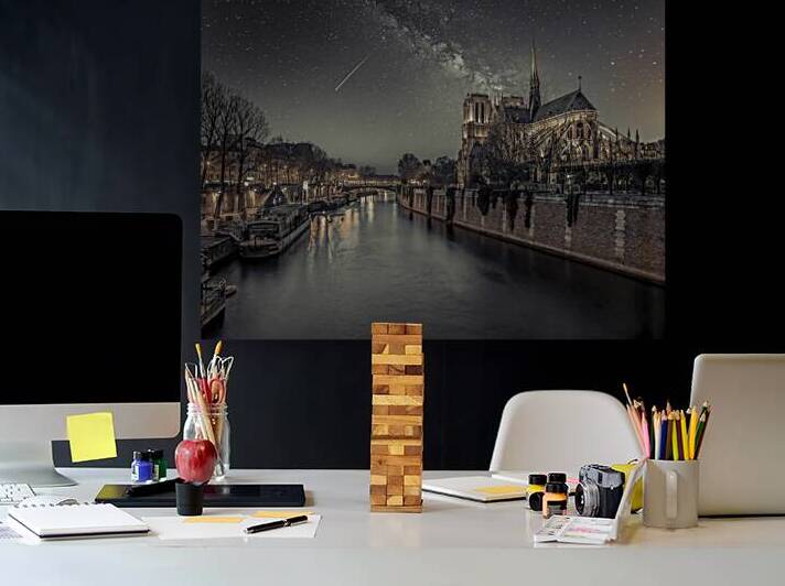 Notre-Dame de Paris by Assaf Frank