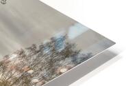 Park benches HD Metal print