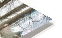 Bench at Park HD Metal print