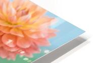 Dahlia Flowers HD Metal print
