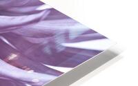 Spiky Petals HD Metal print