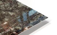 Autumn forest HD Metal print