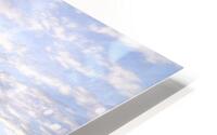 Meadow Majesty HD Metal print