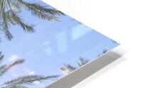 Palm Trees HD Metal print