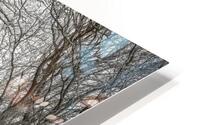 Frozen Journey HD Metal print
