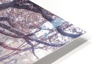 Misty Canal HD Metal print