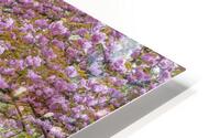 Blossom Park HD Metal print