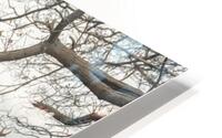 Stags in the forest HD Metal print