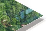 Evergreen Forest HD Metal print