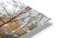 Peaceful Canal  HD Metal print