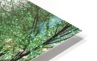 White Green HD Metal print