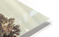 Trees By Lake HD Metal print