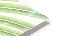 Verdant Leaf Stripes HD Metal print