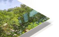 Loch Serenity HD Metal print