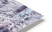 Path through Bluebell Forest HD Metal print