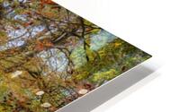 Pathway through Autumn forest HD Metal print