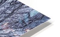 Frosted Road through Forest HD Metal print