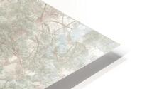 Misty Woodlands HD Metal print