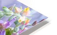 Garden Medley HD Metal print