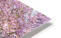 Park Prettiness HD Metal print